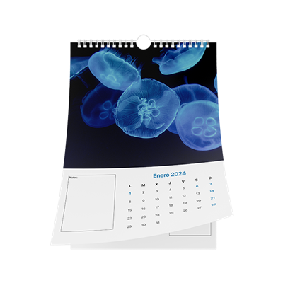 Calendario de pared wire-o 2