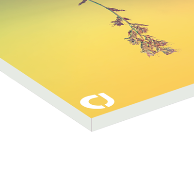 Metacrilato
