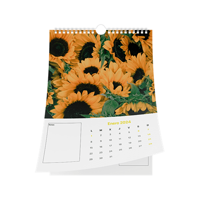 Calendario de pared wire-o 1