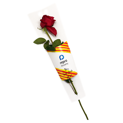 Funda blanca con rosa